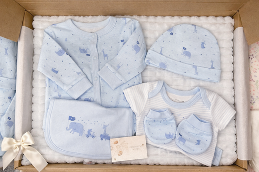 Blue Safari Baby Gift Box – Baby Boy